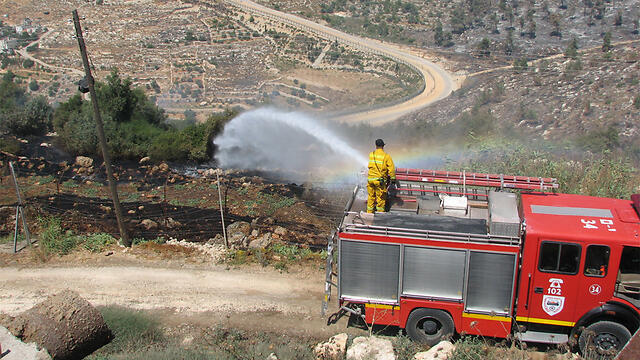 Photo: Rimon Carmel Kahani (צילום: רימון כרמל כהני ) Photo: Rimon Carmel Kahani