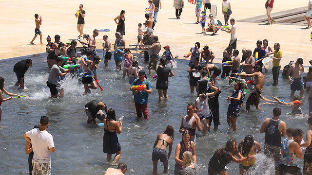 Who's fighting who? (Photo: Moti Kimchi) (צילום: מוטי קמחי) Who's fighting who? (Photo: Moti Kimchi)