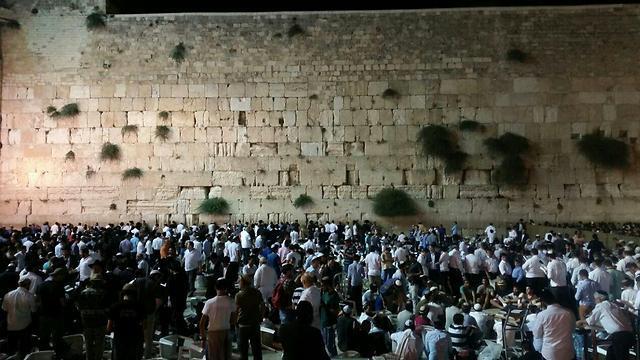 Tisha B'Av prayers at the Western Wall (Photo: Eli Mendelbaum)