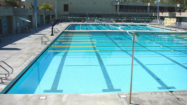 Фото: shutterstock