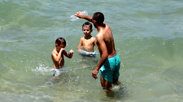 (Photo: Moti Kimchi) (צילום: מוטי קמחי) (Photo: Moti Kimchi)