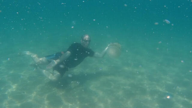 Diver in Ashdod (Photo: Gilad Tidhar) (צילום: גלעד תדהר) Diver in Ashdod (Photo: Gilad Tidhar)