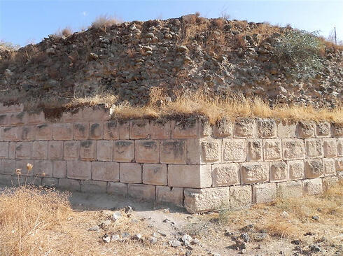 Photo: Ziv Reinstein