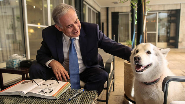 Биньямин Нетаниягу и собака Каяnullnull Биньямин Нетаниягу и собака Кая