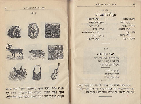 A Living Language for Children, 1915 (Photo: The National Library) (צילום: הספריה הלאומית) A Living Language for Children, 1915 (Photo: The National Library)