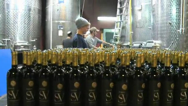 Psagot Winery in the West Bank (צילום: עפר מאיר) Psagot Winery in the West Bank