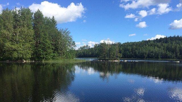 A picture of tranquility (Photo: Ofer Petersburg) (צילום: עופר פטרסבטרג) A picture of tranquility (Photo: Ofer Petersburg)