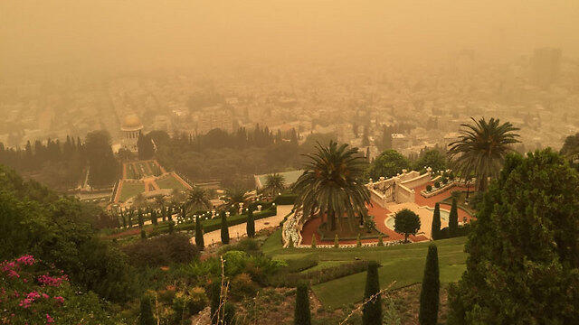 Бахайские сады. Фото: Наоми Тумаркин (צילום: נעמה טומרקין) Бахайские сады. Фото: Наоми Тумаркин