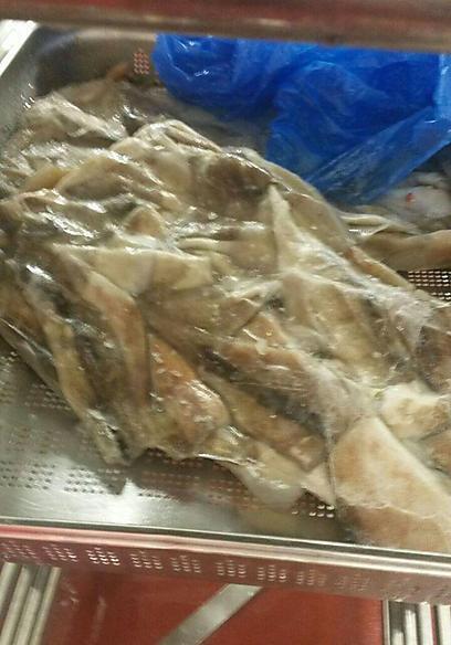 Suspicious looking cod fish