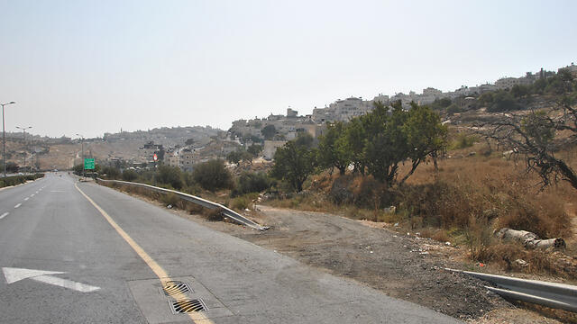 Фото: Офер Меир