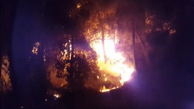 Fire started due to Molotov cocktails thrown at Ofrit base, Mt. Scopus