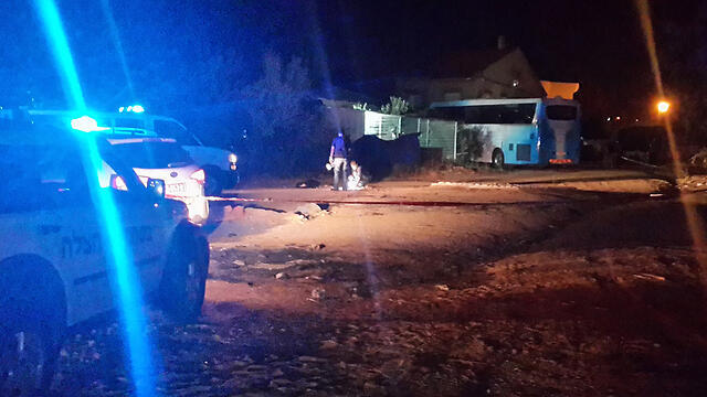 Фото: Рои Идан (архив) (צילום: רועי עידן) Фото: Рои Идан (архив)