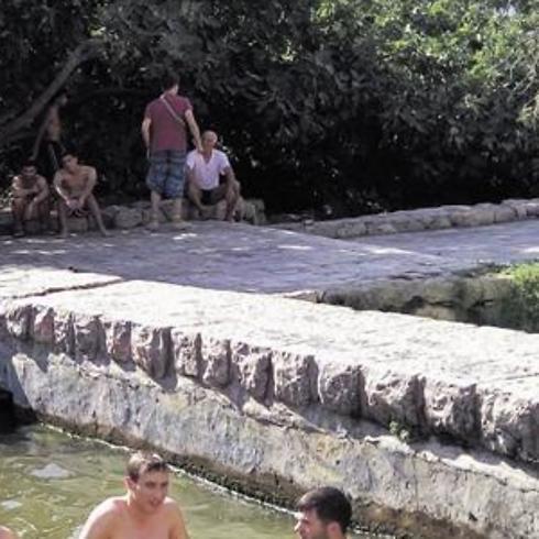 Бассейн в Лифте. Фото: Цвика Ливне