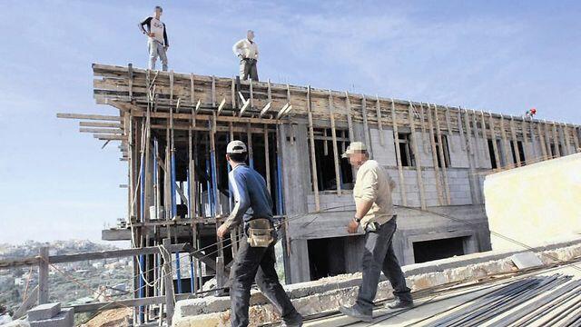 Photo: Shaul Golan (צילום: שאול גולן) Photo: Shaul Golan