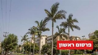 רעננה
