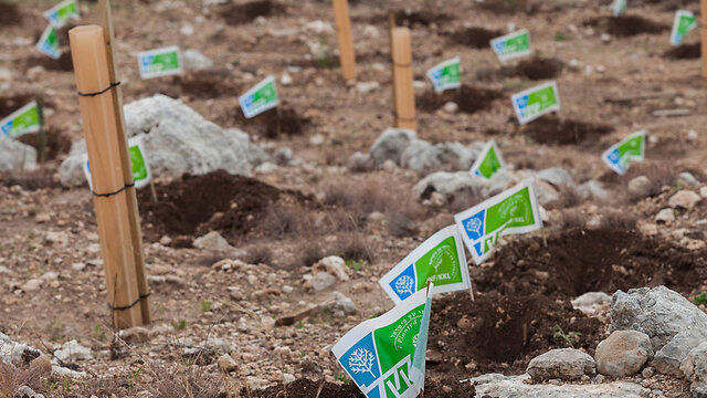 KKL-JNF (file photo)