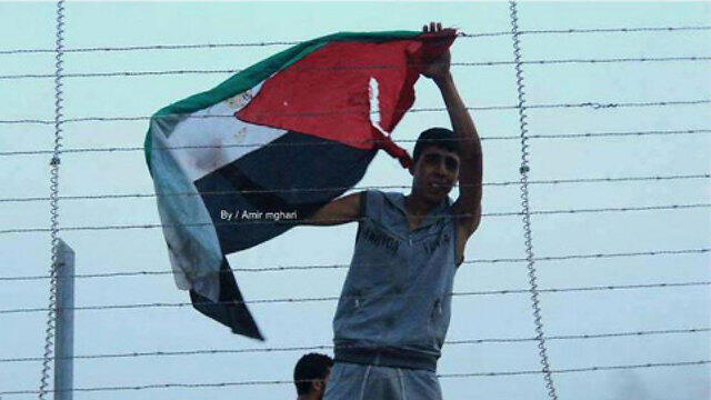 Palestinian in Gazanullnull Palestinian in Gaza