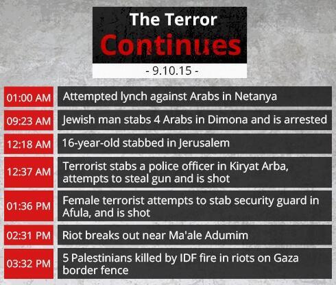 The daily terror count