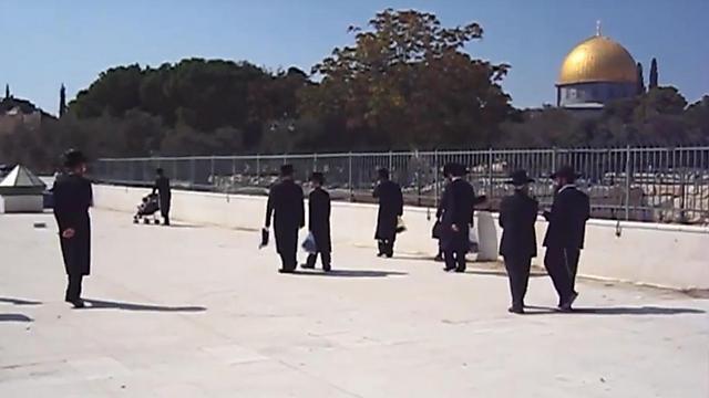 Visiting the Temple Mount is not about trying to deny the Muslims’ right to pray and worship in the mosque, it is to claim my own right as a Jew to exercise my freedom of travel and religion throughout the land of my ancestors (Photo: Temple Movements) (צילום: תנועות המקדש) Visiting the Temple Mount is not about trying to deny the Muslims’ right to pray and worship in the mosque, it is to claim my own right as a Jew to exercise my freedom of travel and religion throughout the land of my ancestors (Photo: Temple Movements)