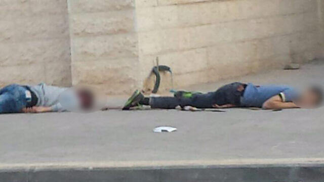 The terrorists after they were neutralized