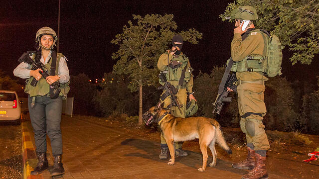 Scene of the stabbing attack in Ariel Junction, 2015