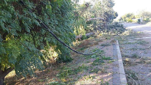 (Photo: Raanan Ben Tzur) (צילום: רענן בן צור) (Photo: Raanan Ben Tzur)