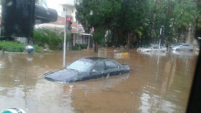 Raanana (Photo: Eli Winer-Bnia)