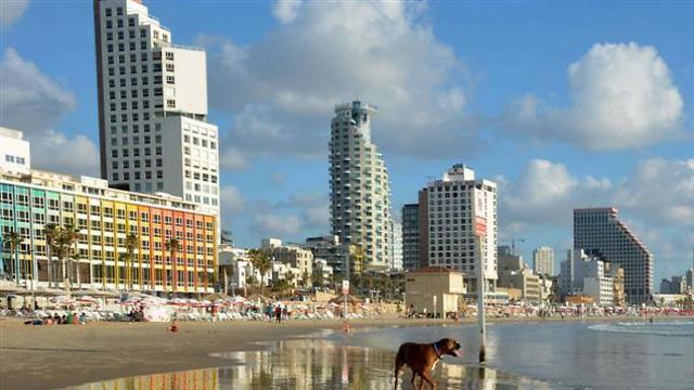 Hollywood's new Sin City? 'A unique mix of the Middle East with a Mediterranean party atmosphere' (Photo: Mario Troiani) (צילום: מריו טרויאני) Hollywood's new Sin City? 'A unique mix of the Middle East with a Mediterranean party atmosphere' (Photo: Mario Troiani)