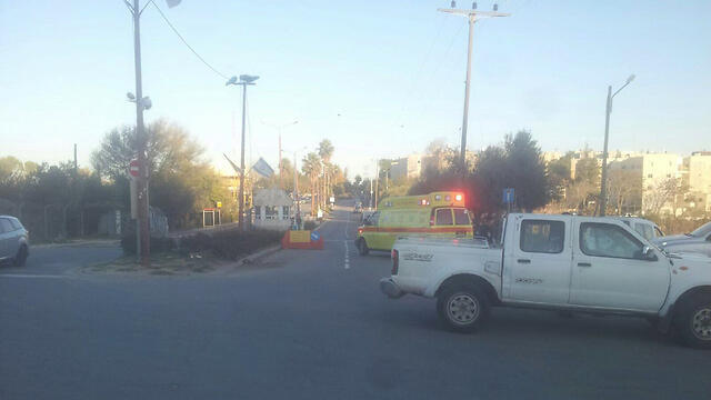 The area around the scene (Photo: Haim Blicher, TPS)