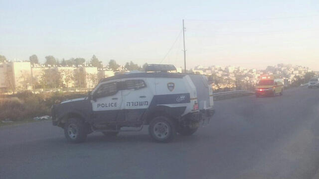 The area around the scene (Photo: Haim Blicher, TPS)