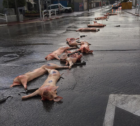 Photo: Roma Revshenov