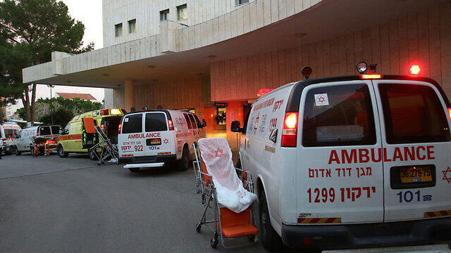 Фото: Ави Муалем (צילום: אבי מועלם) Фото: Ави Муалем