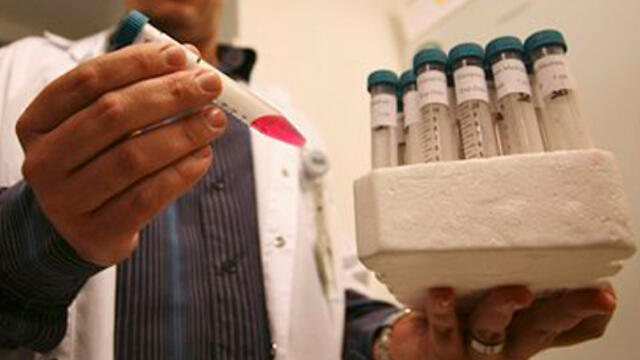 Photo: AP (צילום: AP) Photo: AP