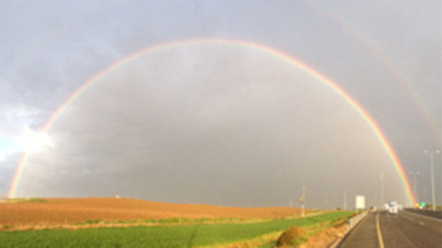 На перекрестке Сорек сияет радуга. Фото: Йоси Азулай (צילום: יוסי אזולאי) На перекрестке Сорек сияет радуга. Фото: Йоси Азулай