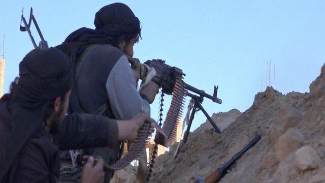 ISIS fighters in Syria. The IDF doesn't want thier defeat to come at the hands of other radicals.