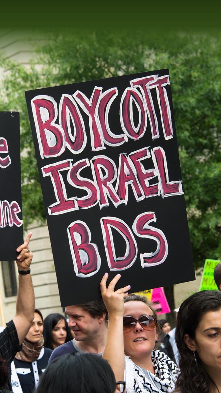 BDS demonstration