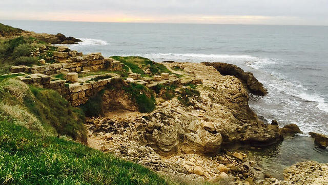 Вид с кургана Тель-Дор. Фото: Шири Адар (צילום: שירי הדר) Вид с кургана Тель-Дор. Фото: Шири Адар