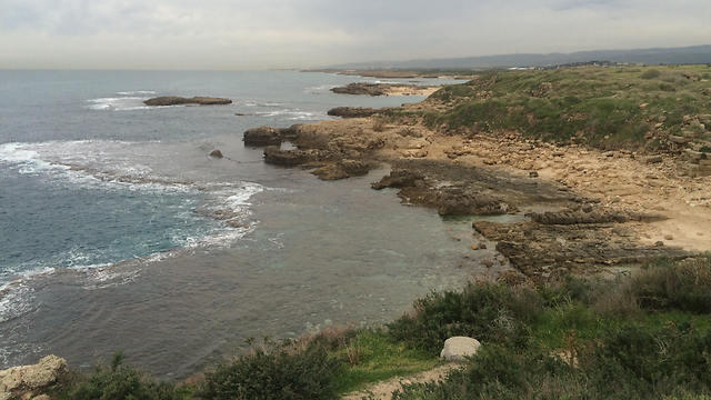 Пляж Дор. Фото: Шири Адар (צילום: שירי הדר) Пляж Дор. Фото: Шири Адар