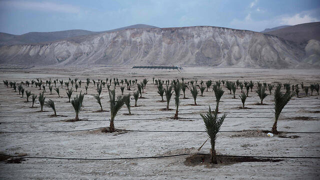Photo: AFP (צילום: AFP) Photo: AFP