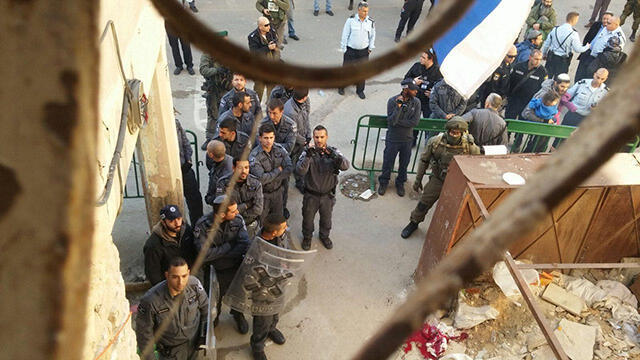 Photo: Amichai Ben-David (צילום: עמיחי בן דוד) Photo: Amichai Ben-David