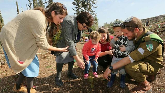 Planting trees at Tsir'a Forest (Photo: Yossi Zamir, KKL)