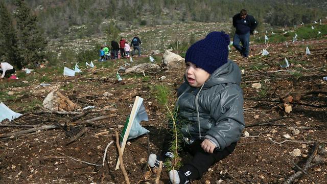 There are two babies in this picture (Photo: Yossi Zamir, KKL)