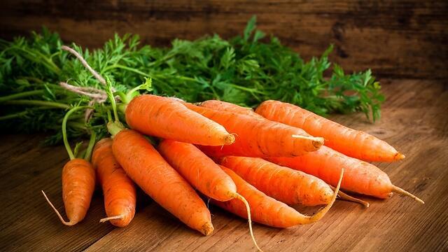 Фото: shutterstock