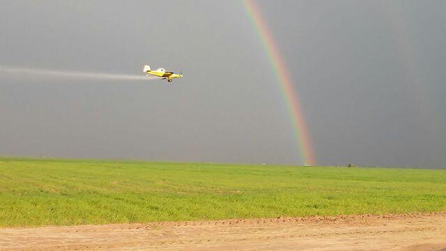 Crop dusting in the western Negev (Photo: Shlomit Ya'akobi) (צילום: שלומית יעקבי) Crop dusting in the western Negev (Photo: Shlomit Ya'akobi)