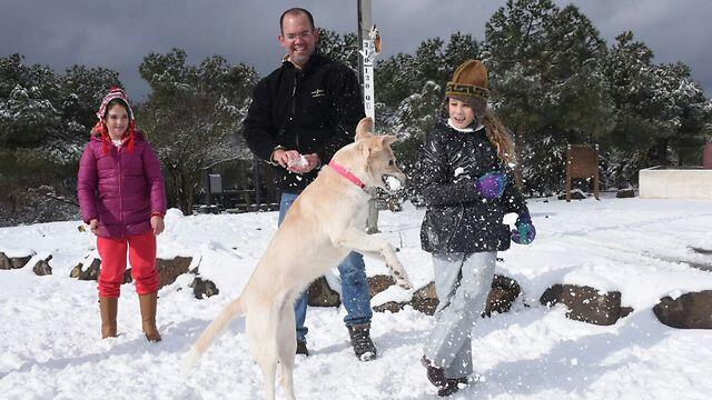 Family fun at El Rom in the Golan heights (Photo: Avihu Shapira) (צילום: אביהו שפירא) Family fun at El Rom in the Golan heights (Photo: Avihu Shapira)
