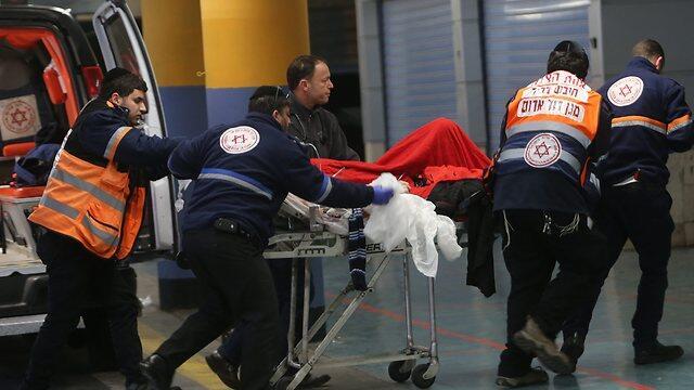 Фото: Алекс Коломойский (צילום: אלכס קולומויסקי) Фото: Алекс Коломойский