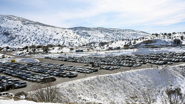 Packed parking lot at the Mount Hermon ski site (Photo: Avihu Shapira) (צילום: אביהו שפירא) Packed parking lot at the Mount Hermon ski site (Photo: Avihu Shapira)