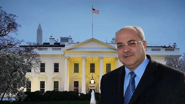 MK Ahmed Tibi nullnull MK Ahmed Tibi
