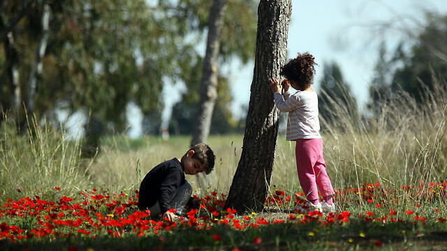 Enjoying the anemones at the Shaar HaNegev Regional Council (Photo: Roee Idan)