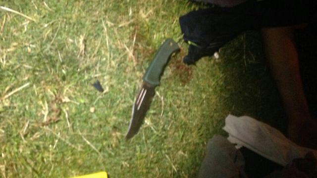 Knife used by the terrorist in Jaffa (Photo: Noam Dvir)